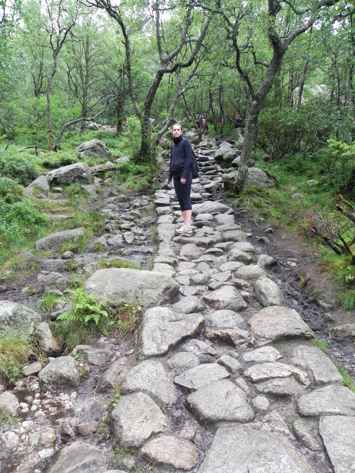 start of Pulpit Rock hike